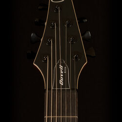 Mayones Duvell Elite 7 7-string