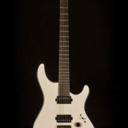 Mayones Regius6 Reg6-Tegrng Electric Guitars | eBay