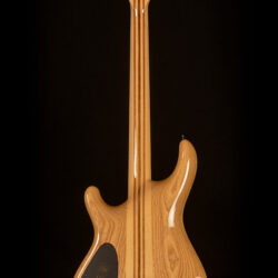Mayones Regius 6