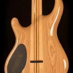 Mayones Regius 6