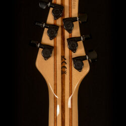 Mayones Regius 6