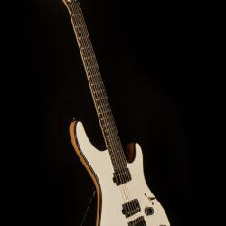 Mayones Regius 6