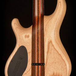 Mayones Regius 6