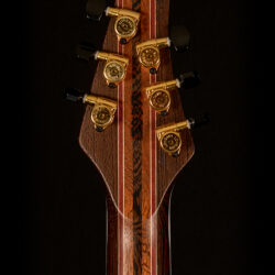 Mayones Regius 6