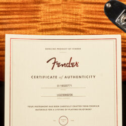 Fender American Ultra Stratocaster HSS