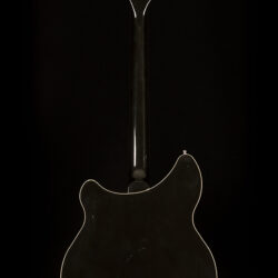 Rickenbacker 360/12 2007