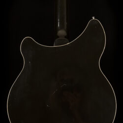 Rickenbacker 360/12 2007