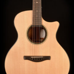 Ibanez Platinum AE410-LGS