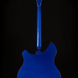Rickenbacker 360 Limited Edition 1988