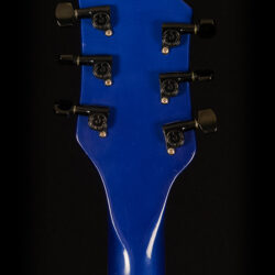 Rickenbacker 360 Limited Edition 1988