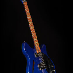 Rickenbacker 360 Limited Edition 1988