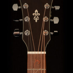 Ibanez AE295L-LGS Lefthand