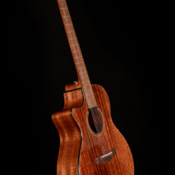 Ibanez AE295L-LGS Lefthand