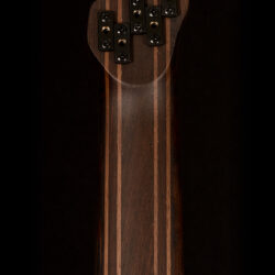 Ibanez EBH1675MS-NTF 5-String Bass