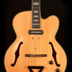 Ibanez Pat Metheny PM3C-NAL 5B-01
