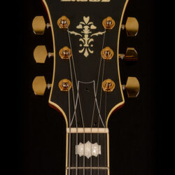 Ibanez Pat Metheny PM3C-NAL 5B-01