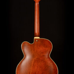 Ibanez Pat Metheny PM3C-NAL 5B-01