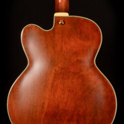Ibanez Pat Metheny PM3C-NAL 5B-01