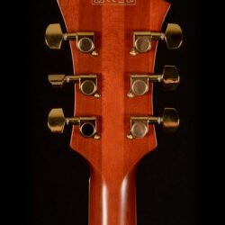 Ibanez Pat Metheny PM3C-NAL 5B-01
