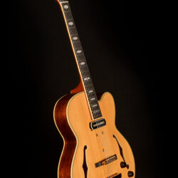 Ibanez Pat Metheny PM3C-NAL 5B-01