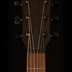 Taylor AD17e-SB