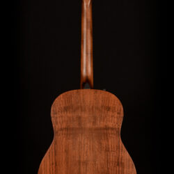 Taylor AD17e-SB