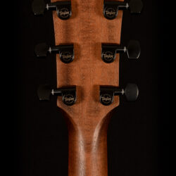 Taylor AD17e-SB