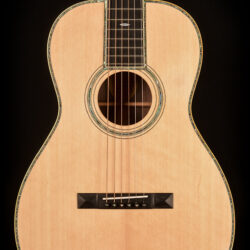 Blueridge BR-371 body front image view
