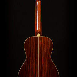 Blueridge BR-371 full back image view