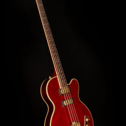Epiphone Allen Woody Rumblekat Bass Wine Red full angled image view