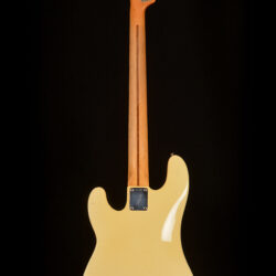 Fender Telecaster Bass Blonde full back image view