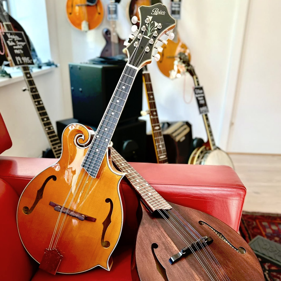 Andre strengeinstrumenter