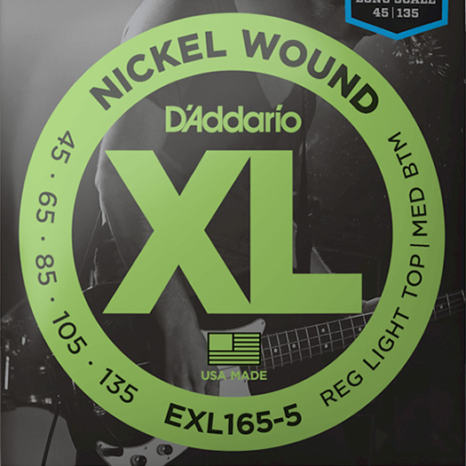 D’Addario EXL165-5 5 string