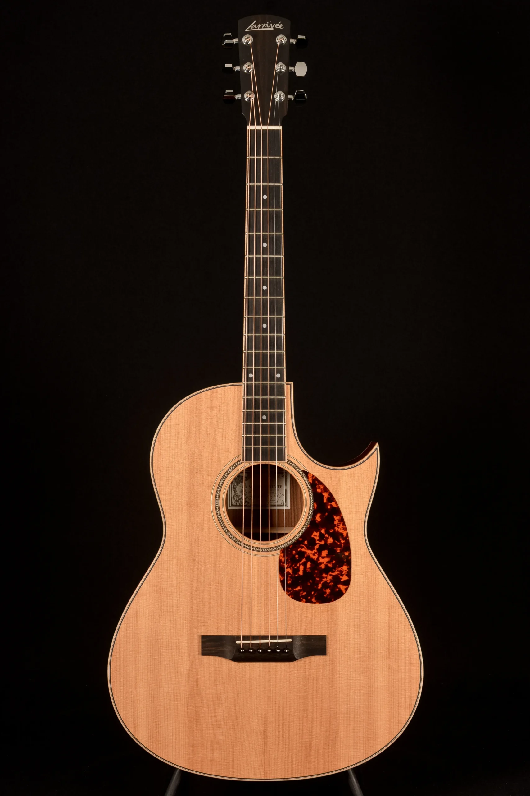 Larrivée C-03R TE Tommy Emmanuel